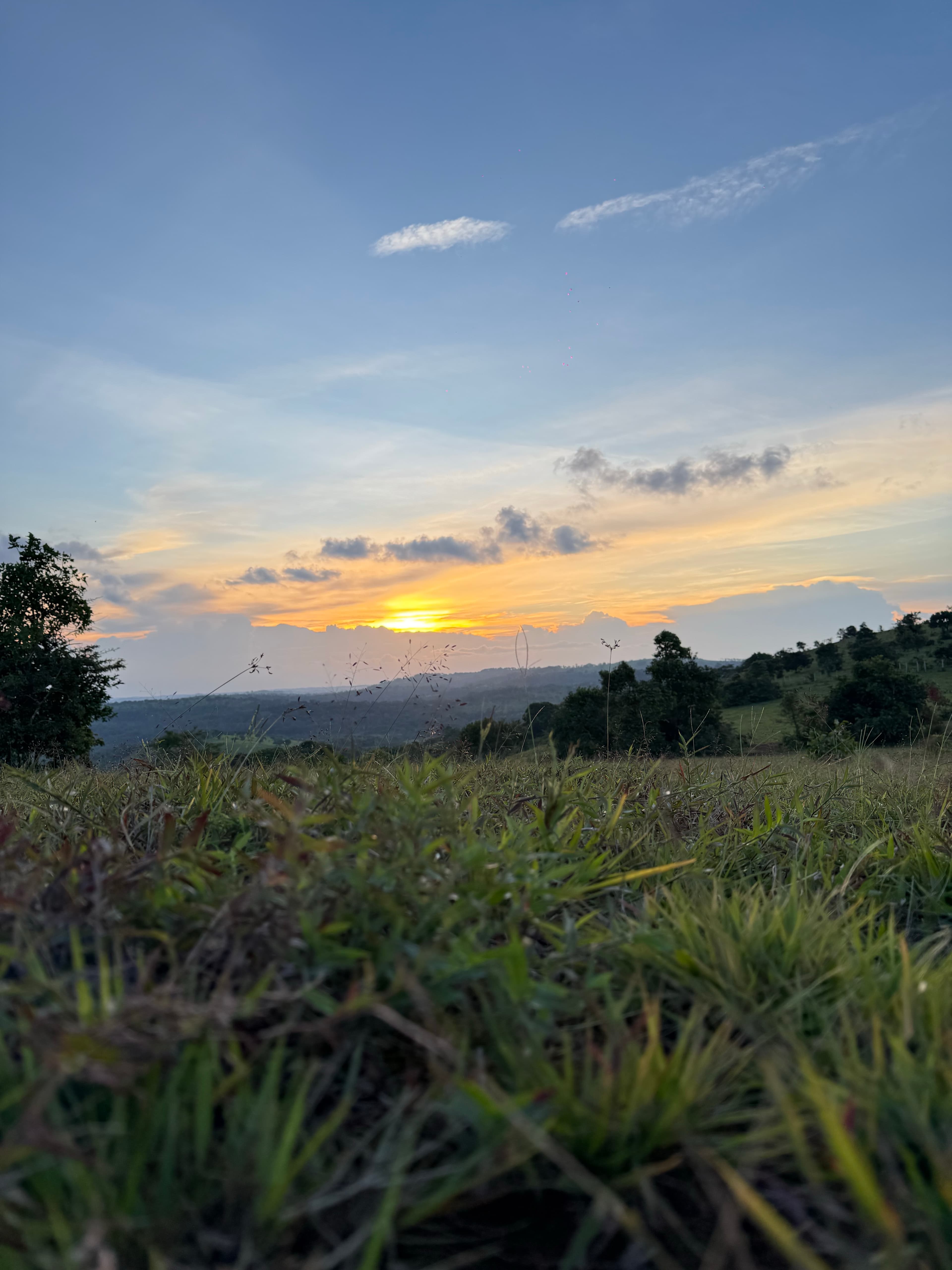 Mondulkiri landscape