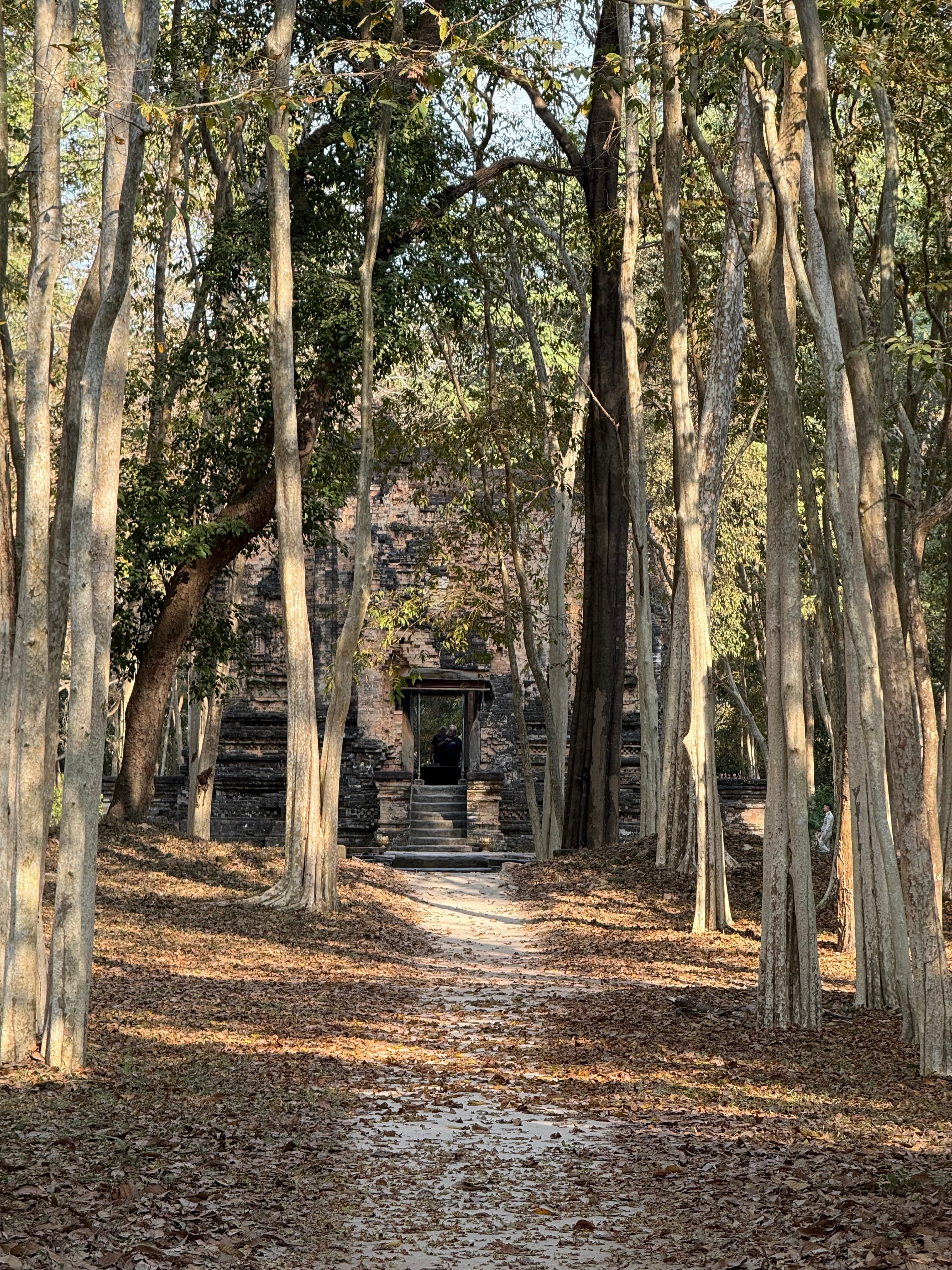 Path to a stone temple