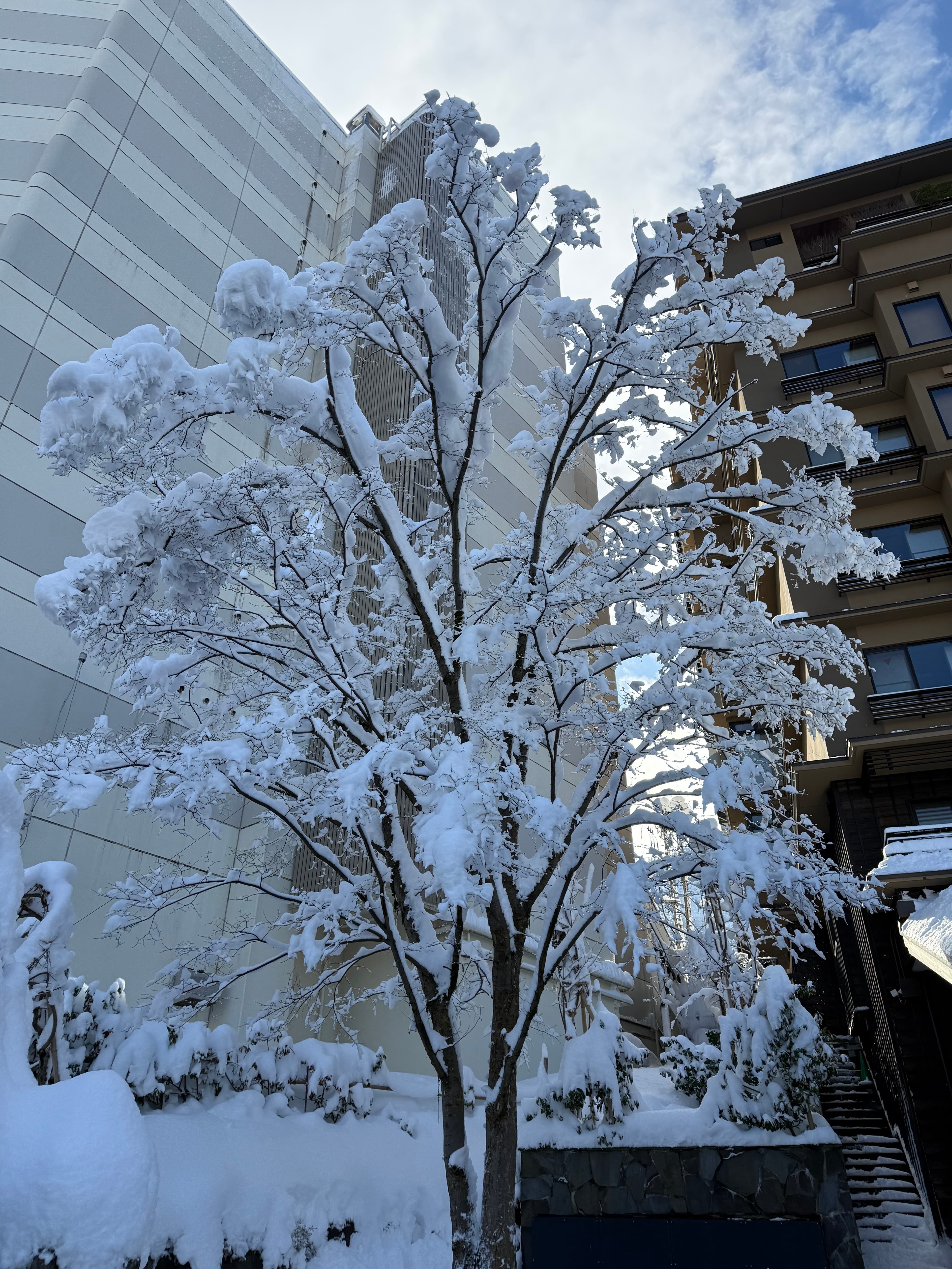 Yamanouchi, Japan